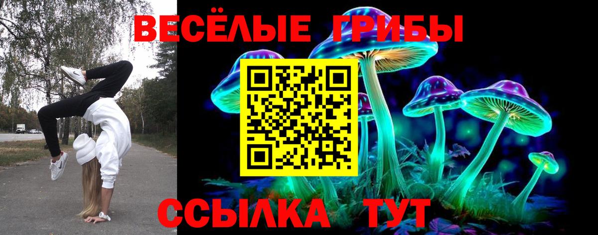 Галлюциногенные грибы прущие грибы  Вход с VPN  Галлюциногенные грибы мухоморы  Реутов 